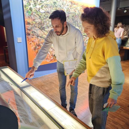 Test MCAJ 02112025 (12)